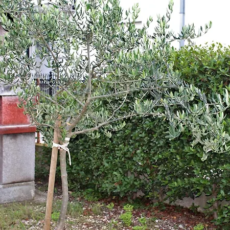 Lejlighed With Parking Space Kastel Stafilic, - 5219